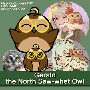 Smol Northern Saw-whet Owl.